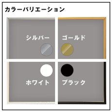 画像3: ステンレス(SUS304)製プレミアムシルバー　交換シートなし (3)